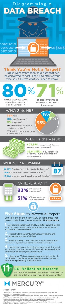 Mercury-DataBreach-InfographicMay28